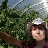 Отдам, приму в дар, обмен Курск