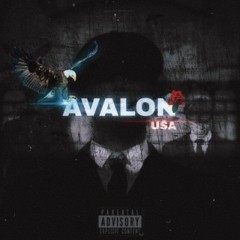 Avalon Usa🇺🇲 переходник