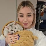 Ekaterinakoreafamily