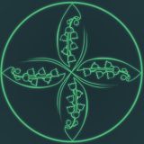 SOFT MEDICINE (comments)