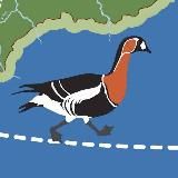 Таймырский телеграм