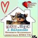 Кот и Пёс Балаково