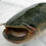 РАЗНОЕ \ ЛЮБОЕ😎