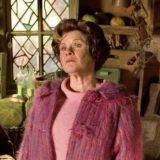 💗𝓓𝓸𝓵𝓸𝓻𝓮𝓼 𝓤𝓶𝓫𝓻𝓲𝓭𝓰𝓮💗