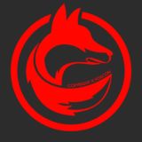 Foxcon (Отрисовка,верификация, дизайн)