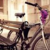 ВелоБеседка