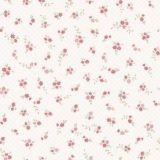 Чат обсуждения 🧦