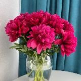 ХОЗЯЙКА МЫСЛЕЙ