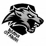 Волки Ставок🐺💰