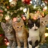 💗школа бисероплетение 💗