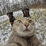 Клёвые девчонки