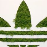 Адик оригинал