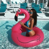 𝗕𝗲𝗮𝘂𝘁𝘆 𝗽𝗮𝗽𝗲𝗿𝘀🦩