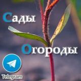 Сады и Огороды™