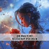 Практикум ДНК мышления