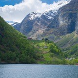 Норвежский лес