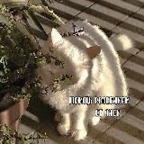 ×[🍂] Помощь ролевикам [🍁]×