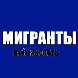 Мигранты — всё как есть