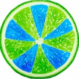 Маркетинг план Lime company