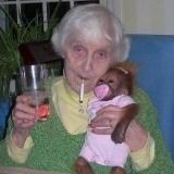 мощенок (мусорцыган)