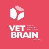 Vet Brain