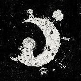 мышкозавры, фатаморганы и совы