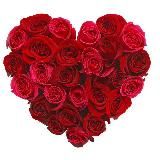 Открытки и Поздравления