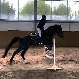 Home.Ippodrom🏡💘