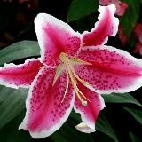 💦МСЦ ЕХБ проповеди💦