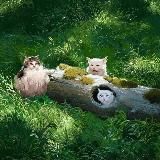 чаты | группы | беседы для общения