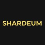 Shardeum Russian League
