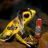 Шиманская орёт | «Мертвые земли Эдеса»