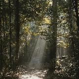 письмо от Бога