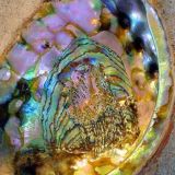 𝗲𝘃𝗶𝘅 𝗴𝗮𝗹𝗹𝗲𝗿𝘆