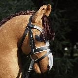 кхт алиса рус