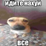 Министерство Беспредела 👑🐅😹🔥🚨