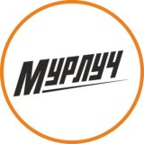 Обсуждения | Мурино лучше