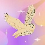 Душевная Сова • Саморазвитие