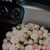 𝖋𝖆𝖗 𝖇𝖊𝖞𝖔𝖓𝖉 𝖙𝖍𝖊 𝖘𝖚𝖓𝖘𝖊𝖙𝖘...