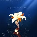 АРХИВ. Листик на голове