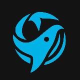 Что говорят киты? 🐋