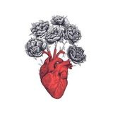 ~|Серgца Чужgых|~