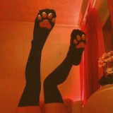 🦊𝑠𝑙𝑦 𝑓𝑜𝑥🦊