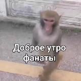 Мистер Бобёр / Матти