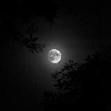 𝙃𝙄𝙆𝘼𝙍𝙄 𝘽𝙄𝙉𝙎