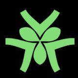 Lung Protocol (L2P) English 🌎