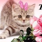 ежедневные открытки