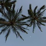 К А Н Т О Р А™