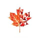 Однажды в Канаде