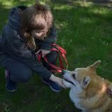 spotlight | кинолог Дарья